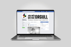 Facebook Orgull